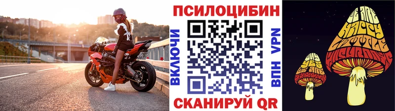 Галлюциногенные грибы ЛСД  Белёв 